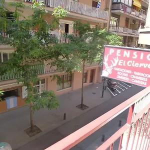 El Ciervo Penzion